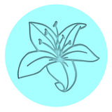 Tiger Lily Cookie Cutter | Stamp | Stencil #1 Animals & Dinosaurs Cookie Cutter Lady MINI - 2 Inches (5cm) Debosser ONLY