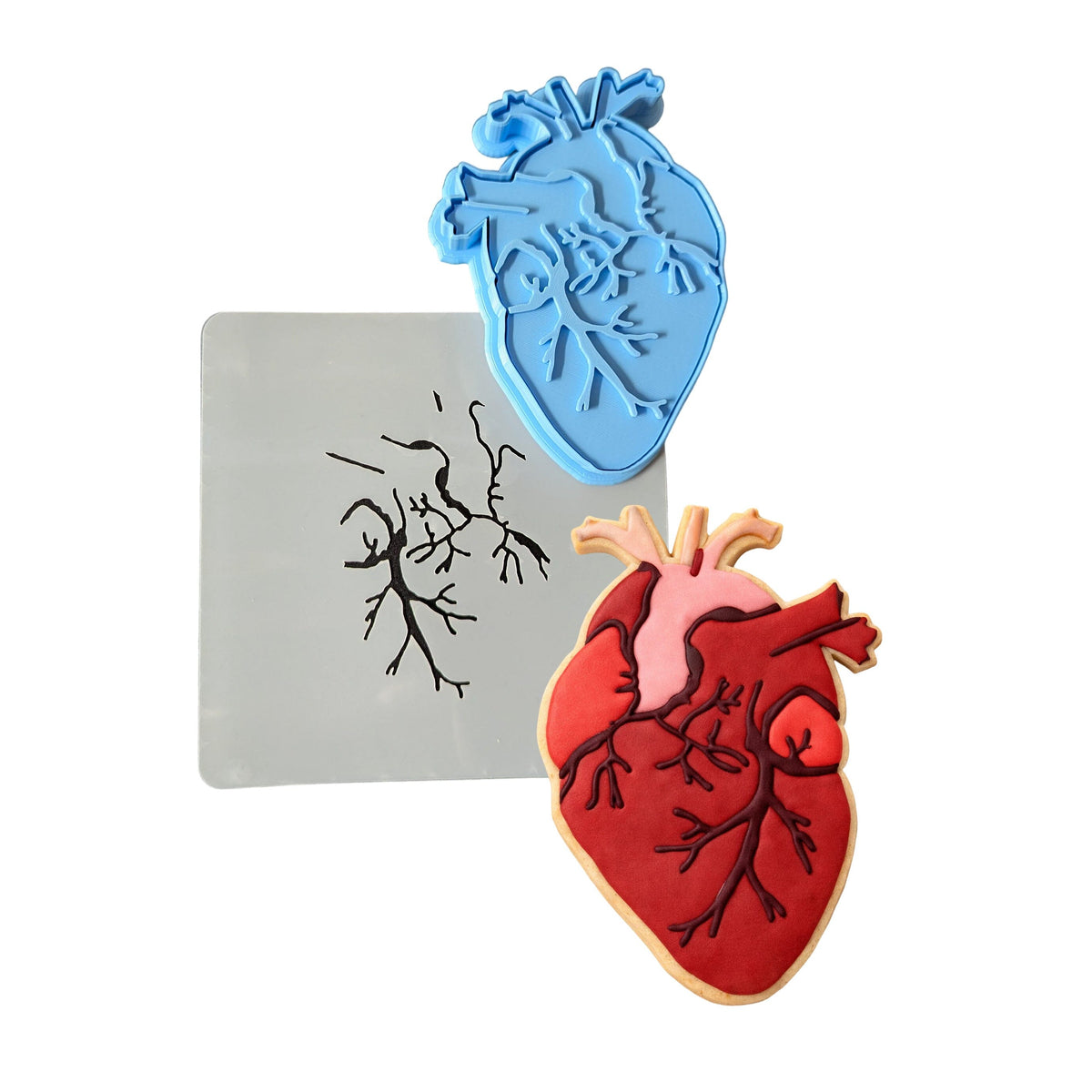 Anatomical Heart Cookie Cutter | Stamp | Stencil #1 Wedding / Baby / V Day Cookie Cutter Lady 