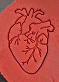 Anatomical Heart Cookie Cutter | Stamp | Stencil #1 Wedding / Baby / V Day Cookie Cutter Lady 
