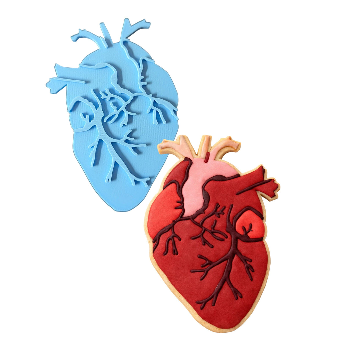Anatomical Heart Cookie Cutter | Stamp | Stencil #1 Wedding / Baby / V Day Cookie Cutter Lady MINI - 2 Inches (5cm) Stamp ONLY 