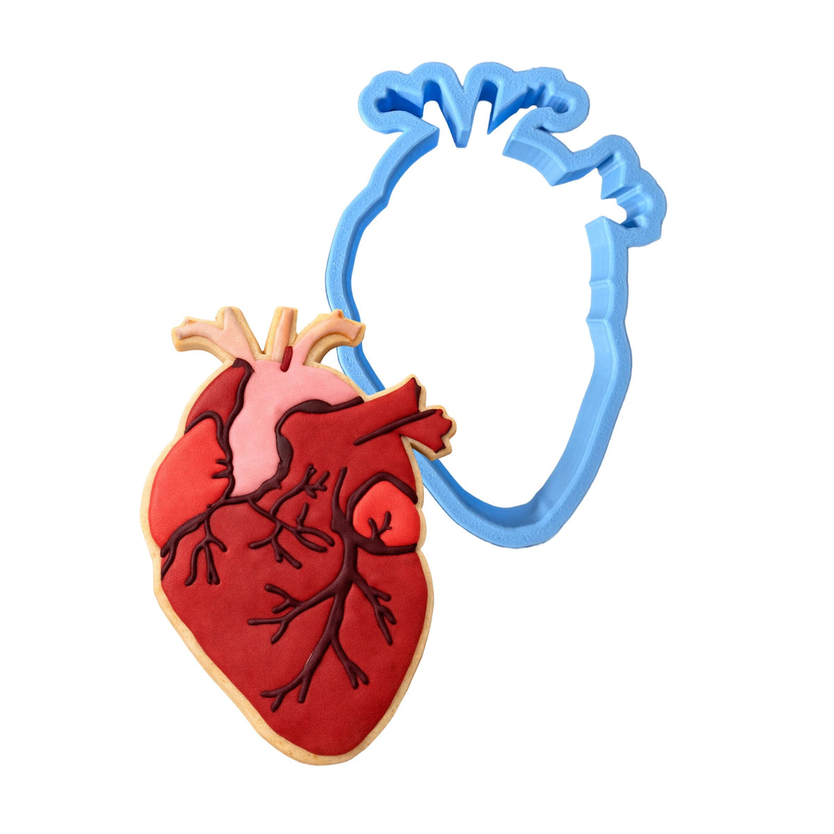 Anatomical Heart Cookie Cutter | Stamp | Stencil #1 Wedding / Baby / V Day Cookie Cutter Lady MINI - 2 Inches (5cm) Cookie Cutter ONLY (Outline) 