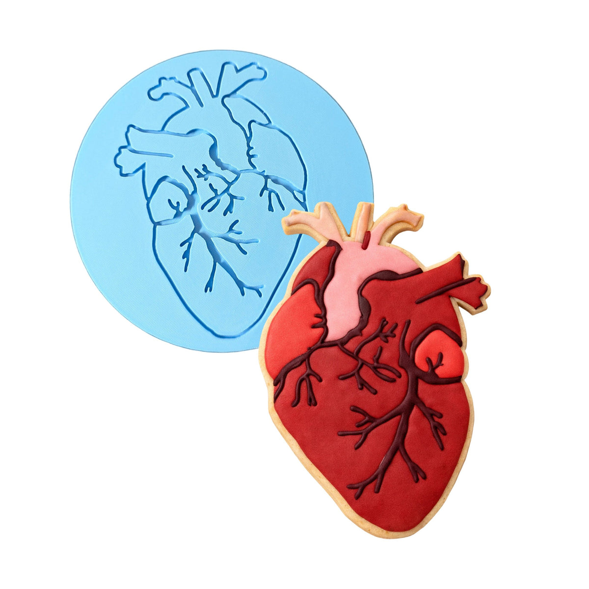 Anatomical Heart Cookie Cutter | Stamp | Stencil #1 Wedding / Baby / V Day Cookie Cutter Lady MINI - 2 Inches (5cm) Debosser ONLY 