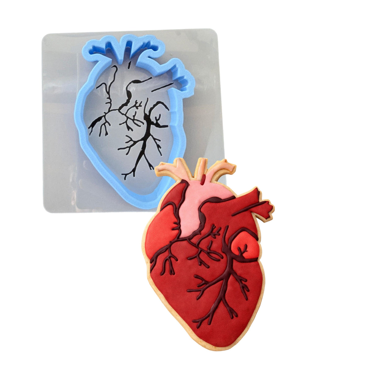 Anatomical Heart Cookie Cutter | Stamp | Stencil #1 Wedding / Baby / V Day Cookie Cutter Lady MINI - 2 Inches (5cm) **BUNDLE** Cutter + Stencil 