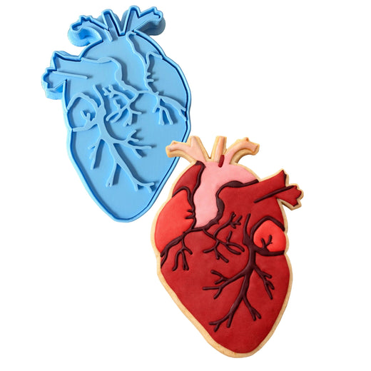 Anatomical Heart Cookie Cutter | Stamp | Stencil #1 Wedding / Baby / V Day Cookie Cutter Lady MINI - 2 Inches (5cm) **BUNDLE** Cutter + Stamp 