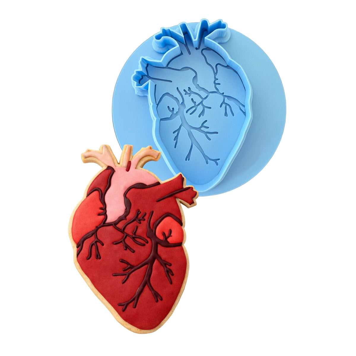 Anatomical Heart Cookie Cutter | Stamp | Stencil #1 Wedding / Baby / V Day Cookie Cutter Lady MINI - 2 Inches (5cm) **BUNDLE** Cutter + Debosser 