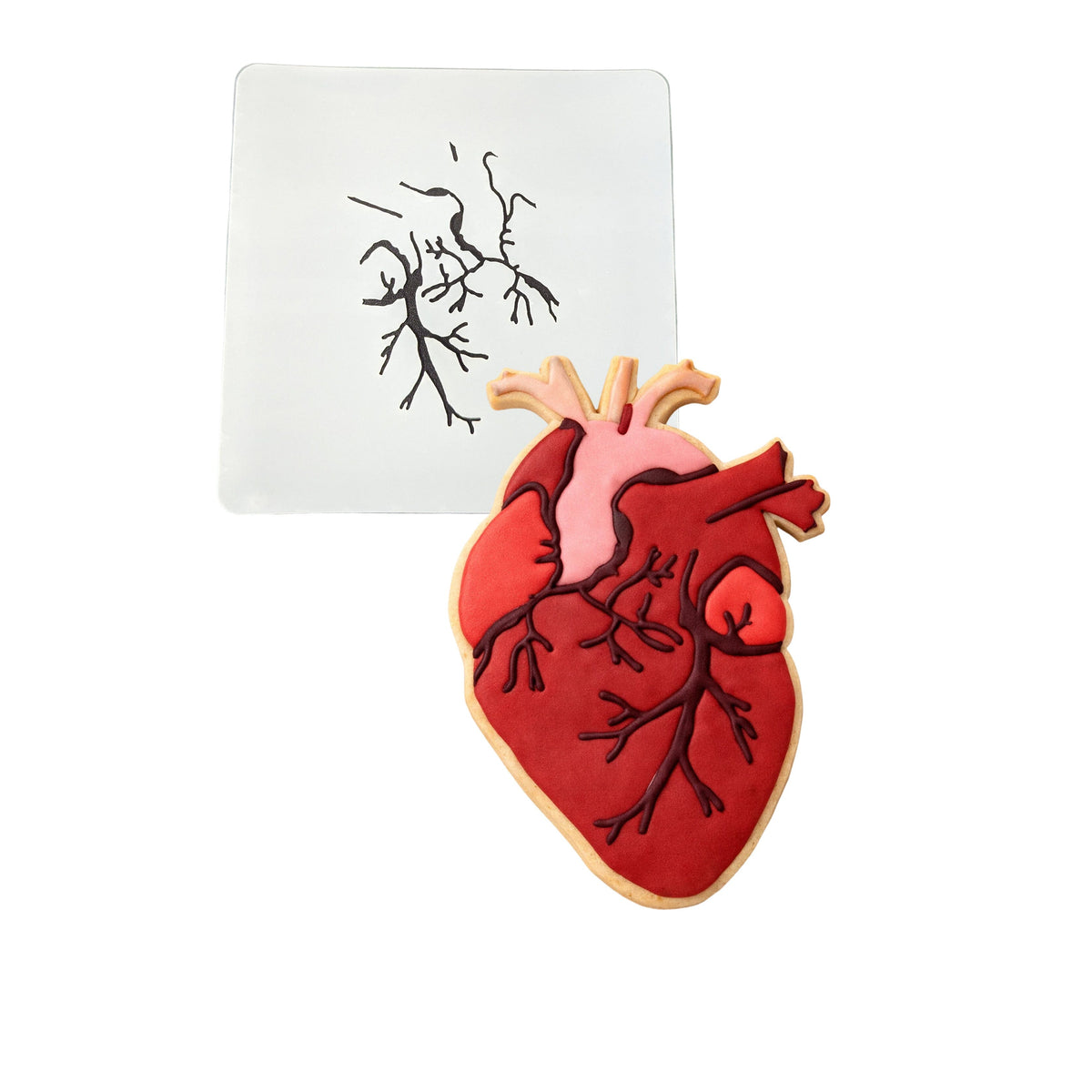 Anatomical Heart Cookie Cutter | Stamp | Stencil #1 Wedding / Baby / V Day Cookie Cutter Lady MINI - 2 Inches (5cm) Stencil ONLY 