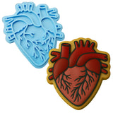 two cookie cutters shaped like a heart and a human heart