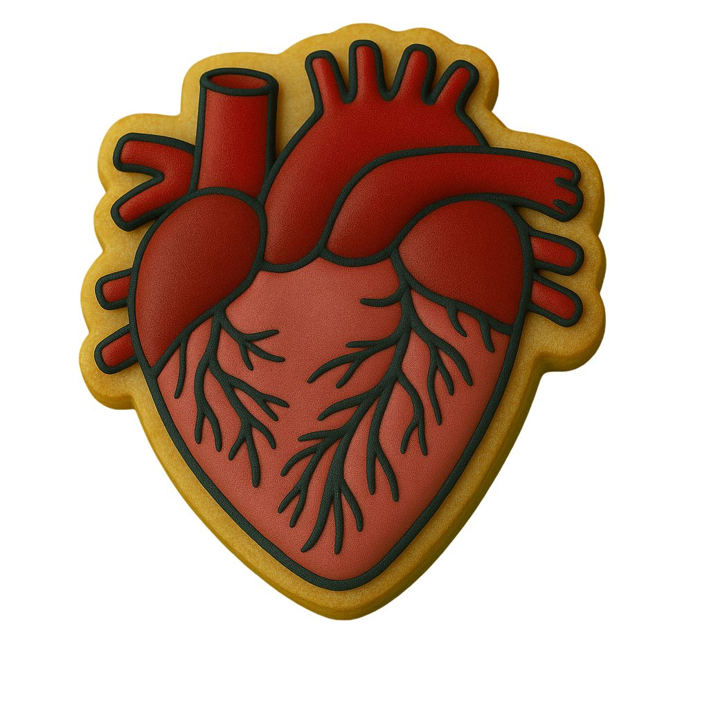 Anatomical Heart Cookie Cutter | Stamp | Stencil - SHARP EDGES - FAST Shipping - Choose Your Own Size! #3