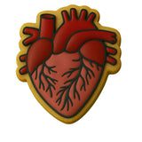 Anatomical Heart Cookie Cutter | Stamp | Stencil - SHARP EDGES - FAST Shipping - Choose Your Own Size! #3