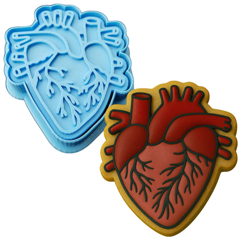 Anatomical Heart Cookie Cutter | Stamp | Stencil - SHARP EDGES - FAST Shipping - Choose Your Own Size! #3