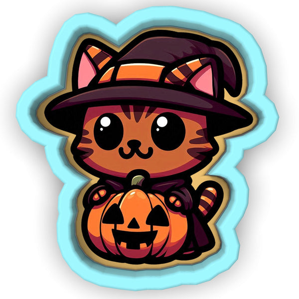 a cat wearing a hat and holding a pumpkin