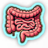 a drawing of a human stomach in pink