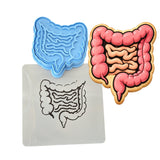Intestines Cookie Cutter | Stamp | Stencil - SHARP EDGES - FAST Shipping - Choose Your Own Size! #2 Cookie Cutter Lady LITTLE - 3 Inches (7.62cm) **BUNDLE** Cutter + Stamp + Stencil 