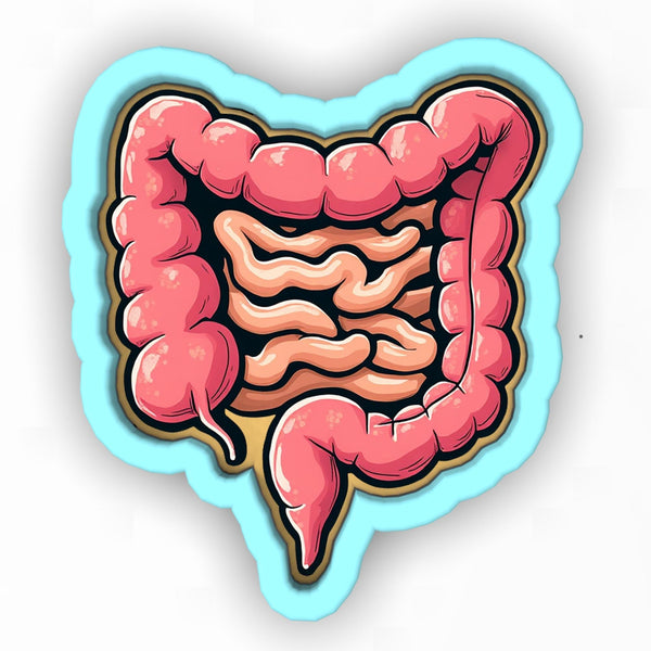 a drawing of a human stomach in blue and pink