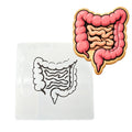 Intestines Cookie Cutter | Stamp | Stencil - SHARP EDGES - FAST Shipping - Choose Your Own Size! #2 Cookie Cutter Lady LITTLE - 3 Inches (7.62cm) Stencil ONLY 