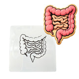 Intestines Cookie Cutter | Stamp | Stencil - SHARP EDGES - FAST Shipping - Choose Your Own Size! #2 Cookie Cutter Lady LITTLE - 3 Inches (7.62cm) Stencil ONLY 