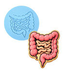 Intestines Cookie Cutter | Stamp | Stencil - SHARP EDGES - FAST Shipping - Choose Your Own Size! #2 Cookie Cutter Lady LITTLE - 3 Inches (7.62cm) Debosser ONLY 