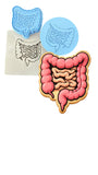 Intestines Cookie Cutter | Stamp | Stencil - SHARP EDGES - FAST Shipping - Choose Your Own Size! #2 Cookie Cutter Lady LITTLE - 3 Inches (7.62cm) **FULL SET BUNDLE** Cutter + Stamp + Stencil + Debosser **BEST DEAL** 