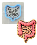 Intestines Cookie Cutter | Stamp | Stencil - SHARP EDGES - FAST Shipping - Choose Your Own Size! #2 Cookie Cutter Lady LITTLE - 3 Inches (7.62cm) **BUNDLE** Cutter + Stencil 