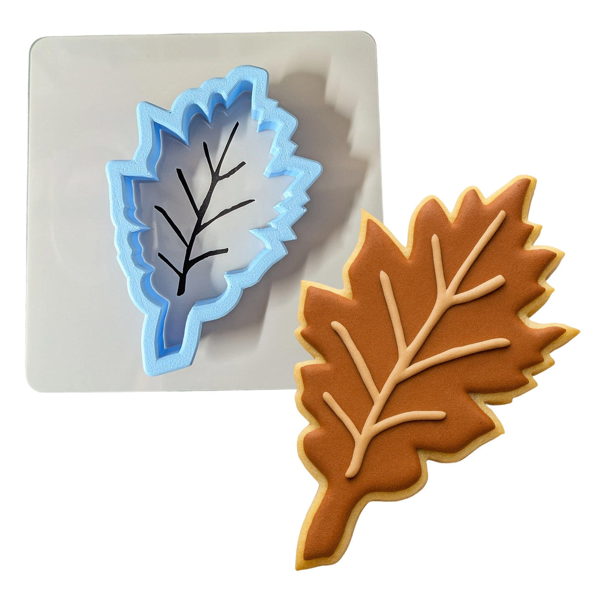 Oak Tree Leaf Cutter | Stamp | Stencil #1 Halloween / Fall Cookie Cutter Lady MINI - 2 Inches (5cm) **BUNDLE** Cutter + Stencil 