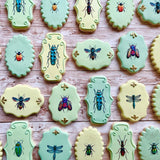 Plaque #62 Fondant & Plaques Cookie Cutter Lady 