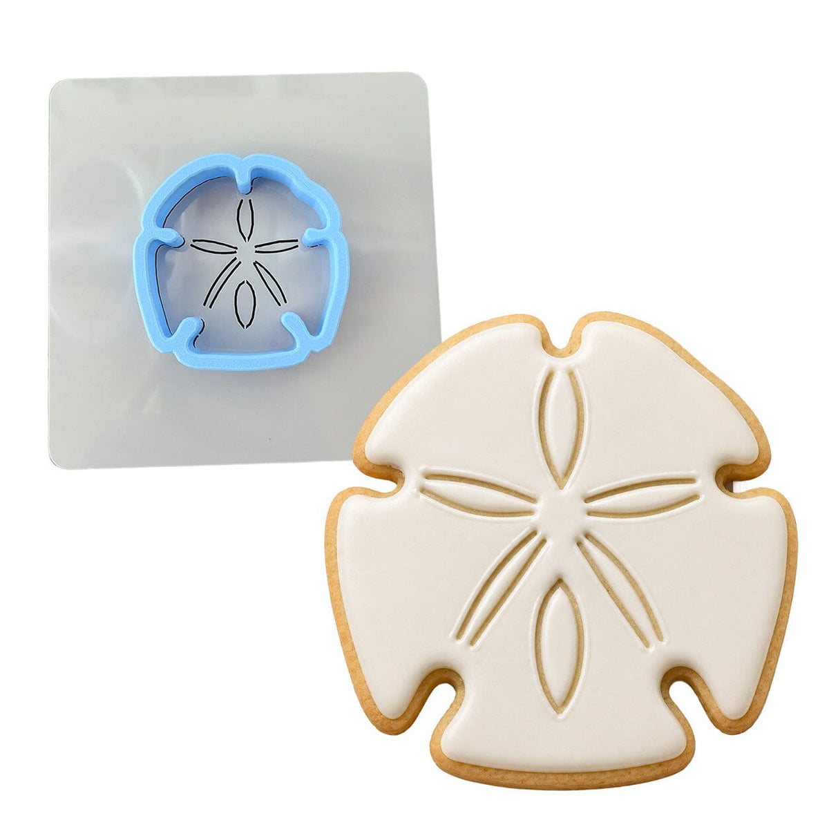 Sand Dollar Cookie Cutter Stamp & Outline #1 Beach / Summer Cookie Cutter Lady MINI - 2 Inches (5cm) **BUNDLE** Cutter + Stencil 