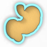 a cookie shaped like a stomach on a white background