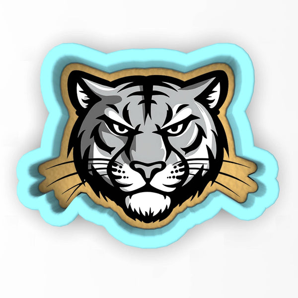 a close up of a tiger face on a white background