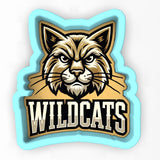 a close up of a mascot of a cat