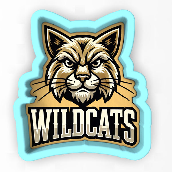 a close up of a mascot of a cat