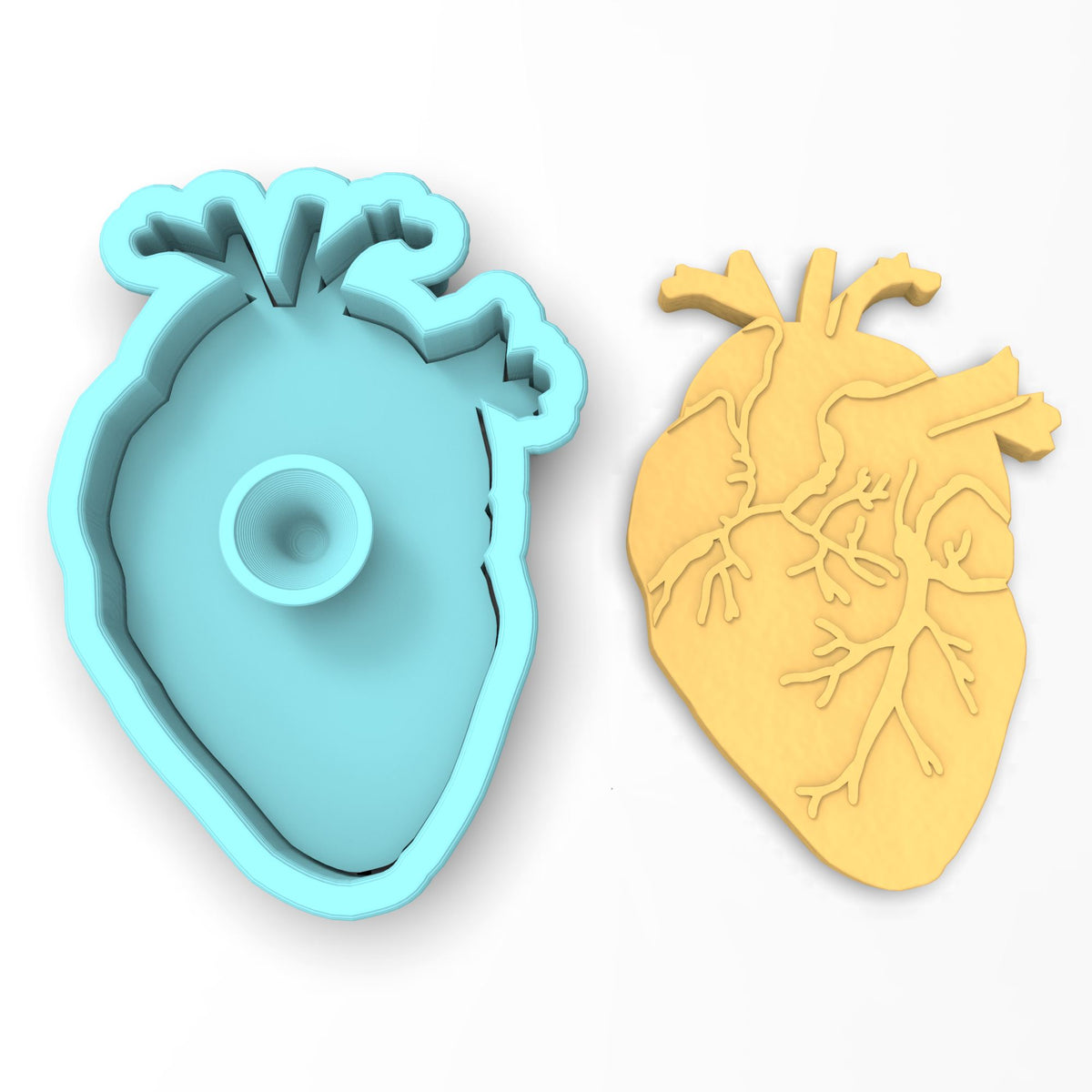 Anatomical Heart Cookie Cutter | Stamp | Stencil #1