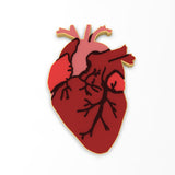 Anatomical Heart Cookie Cutter | Stamp | Stencil #1