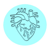 Anatomical Heart Cookie Cutter | Stamp | Stencil #2 Wedding / Baby / V Day Cookie Cutter Lady MINI - 2 Inches (5cm) Debosser ONLY 