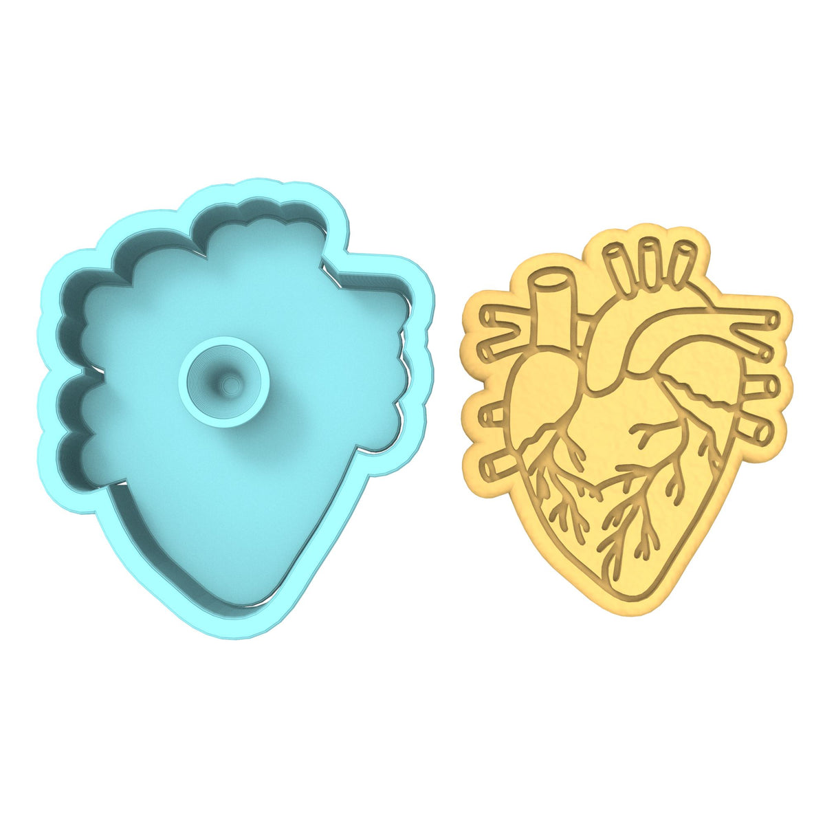 Anatomical Heart Cookie Cutter | Stamp | Stencil #2 Wedding / Baby / V Day Cookie Cutter Lady 
