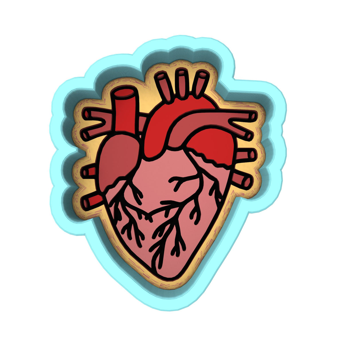 Anatomical Heart Cookie Cutter | Stamp | Stencil #2 Wedding / Baby / V Day Cookie Cutter Lady 