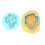 Anatomical Heart Cookie Cutter | Stamp | Stencil #2 Wedding / Baby / V Day Cookie Cutter Lady MINI - 2 Inches (5cm) **BUNDLE** Cutter + Debosser 