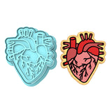 Anatomical Heart Cookie Cutter | Stamp | Stencil #2 Wedding / Baby / V Day Cookie Cutter Lady MINI - 2 Inches (5cm) **BUNDLE** Cutter + Stamp 