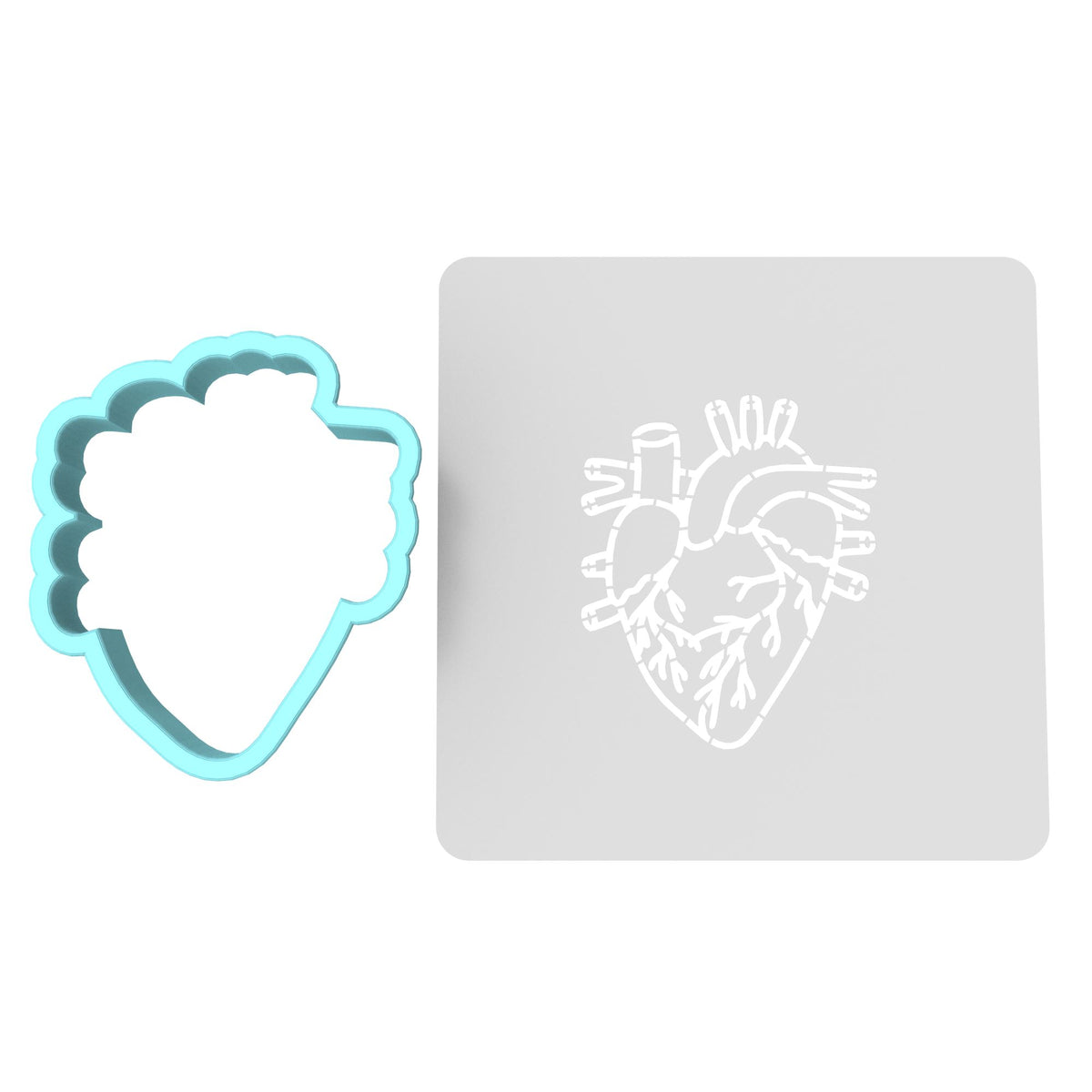 Anatomical Heart Cookie Cutter | Stamp | Stencil #2 Wedding / Baby / V Day Cookie Cutter Lady MINI - 2 Inches (5cm) **BUNDLE** Cutter + Stencil 