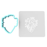 Anatomical Heart Cookie Cutter | Stamp | Stencil #2 Wedding / Baby / V Day Cookie Cutter Lady MINI - 2 Inches (5cm) **BUNDLE** Cutter + Stencil 