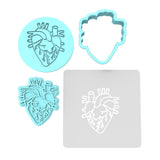 Anatomical Heart Cookie Cutter | Stamp | Stencil #2 Wedding / Baby / V Day Cookie Cutter Lady MINI - 2 Inches (5cm) **FULL SET BUNDLE** Cutter + Stamp + Stencil + Debosser **BEST DEAL** 