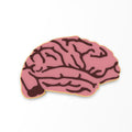 Brains Cookie Cutter | Stamp | Stencil #1