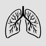 Lungs Cookie Cutter | Stamp | Stencil #1 Halloween / Fall Cookie Cutter Lady 2 Inch Small Cupcake Stencil Only No