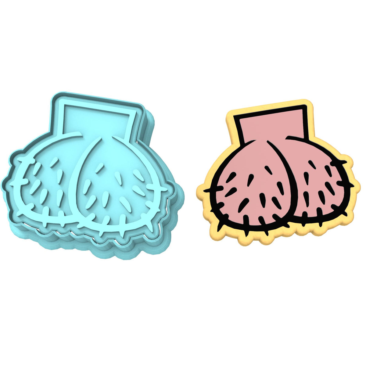 Nuts Cookie Cutter | Stamp | Stencil #1