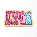 Some Bunny Loves Me Cookie Cutter | Stamp | Stencil #1