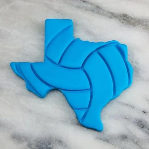 Texas Volleyball Detailed