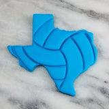 Texas Volleyball Detailed