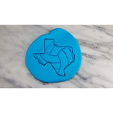 Texas Volleyball Detailed